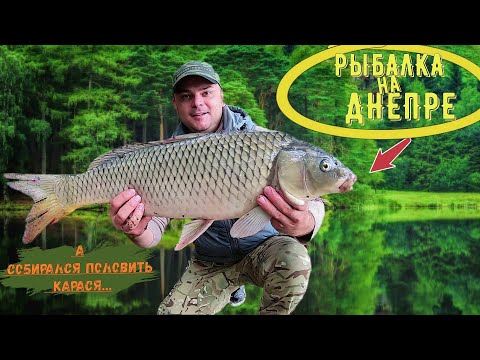 Видео: Рыбалка на Днепре.Ехал ловить карася, а клюют Сазаны с Лещами!