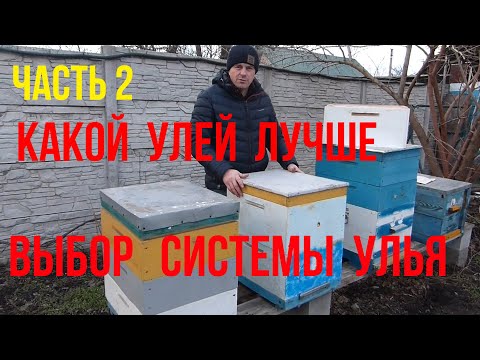 Видео: Какой улей лучше . Улей рута .10 рамочный  многокорпусный улей. гнездовая рамка на 145 зимовка пчел