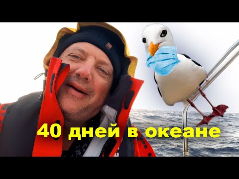 Видео: Переход яхты через Атлантику заснял на телефон. 40 дней самоизоляции в океане