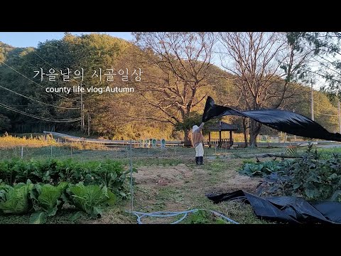 Видео: RUS | Овощи в саду при -2 градусах по Цельсию и ни единого ветреного дня❄️ Что нужно знать при по...