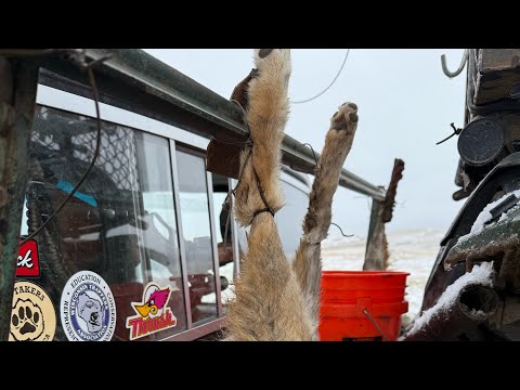 Видео: Эпизод 4: Снежный день LBL! #горныелюди #охотникнакойотов #внесетевойпутешествия #эпическоеприклю...