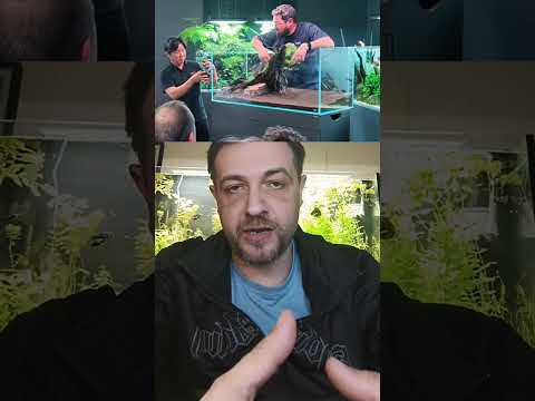 Видео: Безрамочные аквариумы- в чем их секрет?