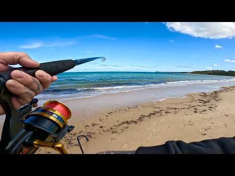 Видео: Рыбалка на полуострове Морнингтон, пляж Меррикс