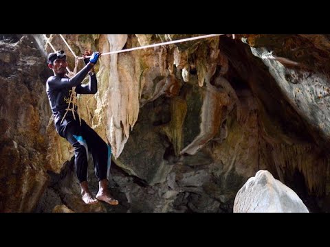 Видео: Почему люди рискуют жизнью, собирая птичьи гнезда по 2900 долларов | Рискованная работа