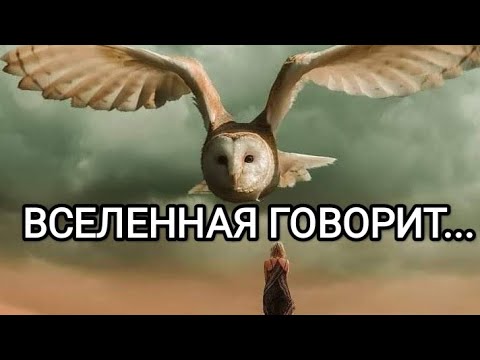 Видео: Вселенная говорит...💫