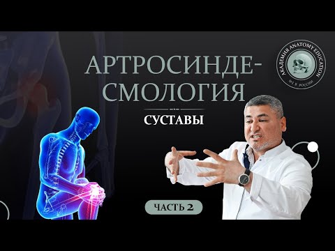 Видео: Артросиндесмология. Суставы часть 2 / ARTHROSYNDESMOLOGIA