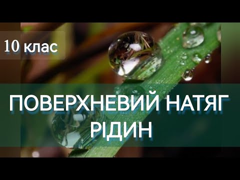 Видео: 5/7 ✨ПОВЕРХНЕВИЙ НАТЯГ РІДИН | Фізика: Задачі Легко
