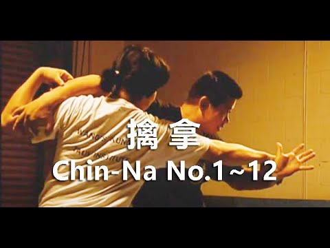 Видео: Чин-На № 1~12 #foryou#SelfDefense#Gongfu#Qinna