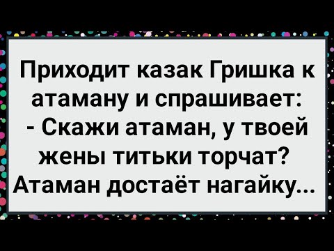 Видео: Скажи Атаман, а у Твоей Жены Торчат? Новый Сборник Свежих Смешных Жизненных Анекдотов!