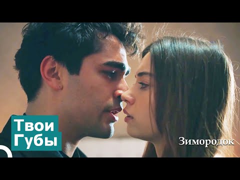 Видео: Меня Успокоит Только Твой Поцелуй — Мое Лекарство | Зимородок