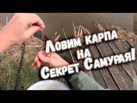 Видео: Ловим карпа на Секрет Самурая! |  Klev100