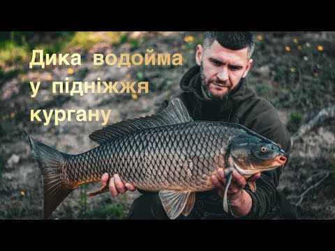 Видео: Дика водойма у підніжжя кургану