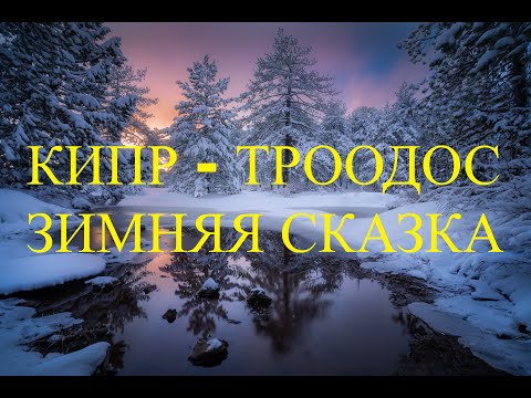 Видео: Кипр, горы Троодос - зимняя сказка