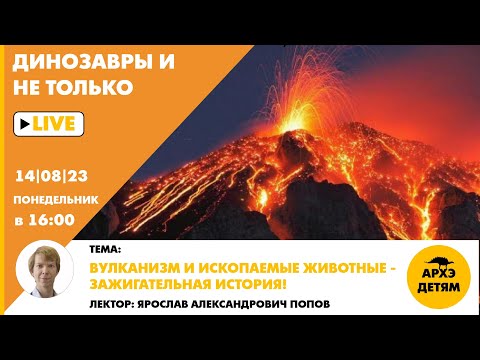 Видео: Занятие "Вулканизм и ископаемые животные — зажигательная история!" с Ярославом Поповым