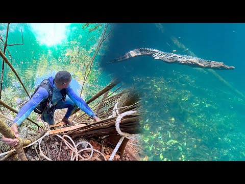 Видео: Объяснение трагедии в «Колодце Бога» | Реальные кадры, реальная опасность и обнаруженный крокодил