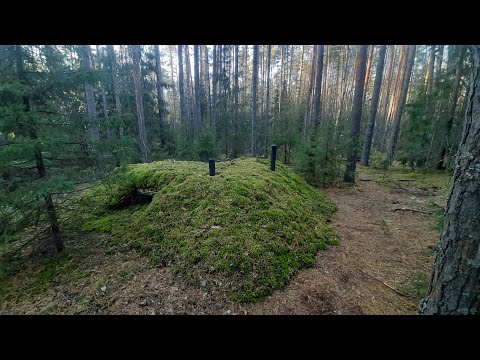 Видео: Землянка всё? Ремонт топора / Делаю штапики на окна