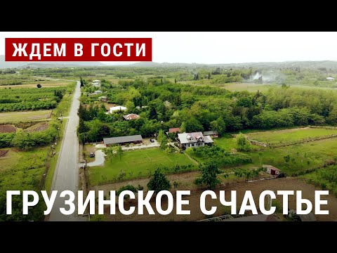 Видео: За грузинским счастьем | ЖДЁМ В ГОСТИ