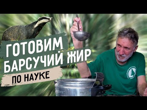 Видео: Готовим барсучий жир по науке
