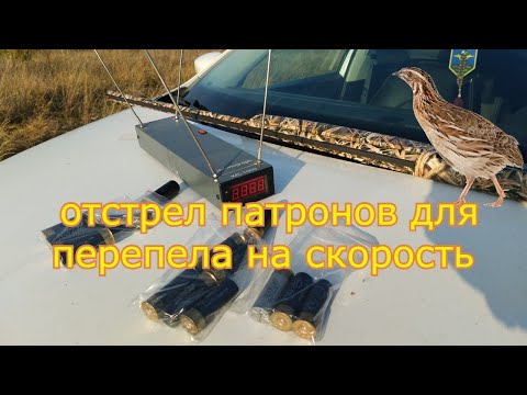 Видео: Патрон на перепела, скорость дроби, охота на перепела
