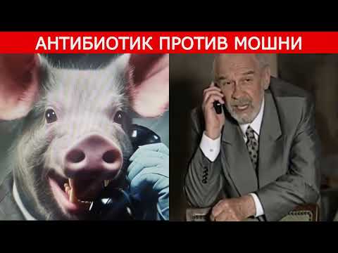 Видео: Отправляй на Садовую 15