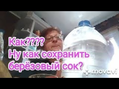 Видео: Берёзовый сок, как его сохранить #березовыйсок#жизньвбеловежскойпуще#кухонныедела