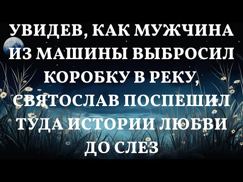 Видео: Увидев, как мужчина из машины выбросил коробку в реку, Святослав поспешил туда Истории любви до сл