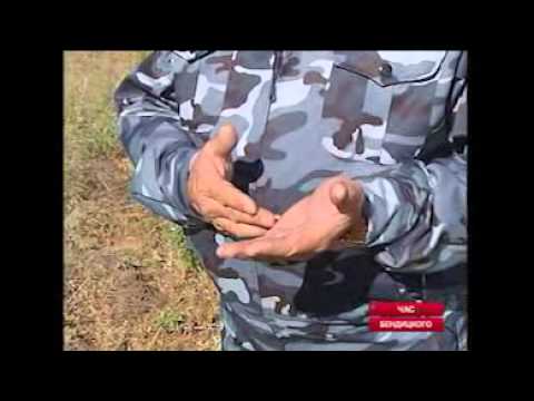 Видео: Чуйская долина