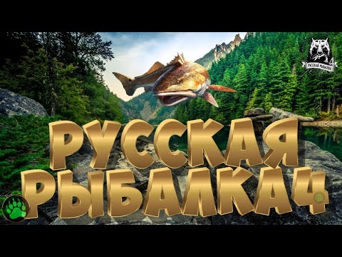 Видео: Русская Рыбалка 4 (Рашен Рыболейшен 4)