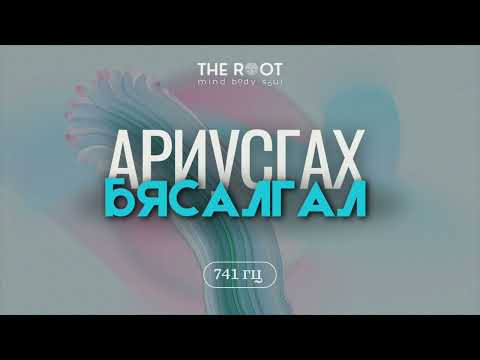 Видео: Ариусгах бясалгал & 741 гц давтамжтай ая (Чиглүүлэгтэй)
