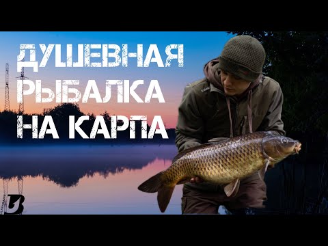 Видео: Душевная рыбалка на дикого карпа в мае!Поймали коряжных исполинов!Открытие сезона дикого карпфишинга