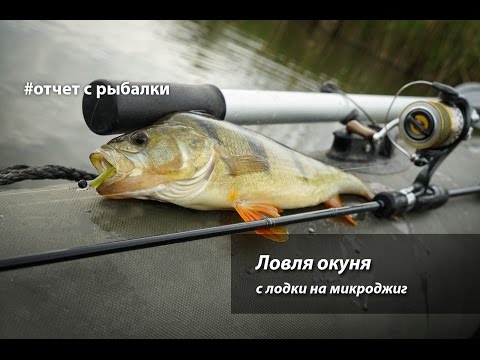 Видео: Ловля окуня с лодки на микроджиг