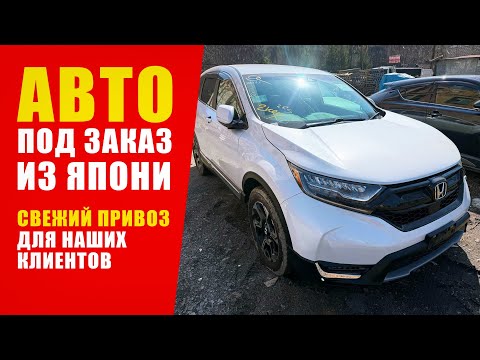 Видео: ВЫГОДНЫЕ ПОКУПКИ С АУКЦИОНОВ ЯПОНИИ | ПОДПИСЫВАЙТЕСЬ