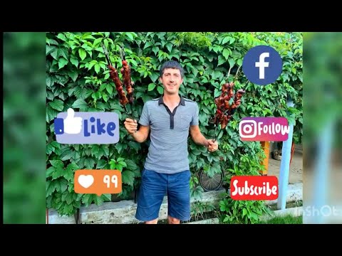 Видео: Свиные рёбра на костре !!! Вкусно и аппетитно