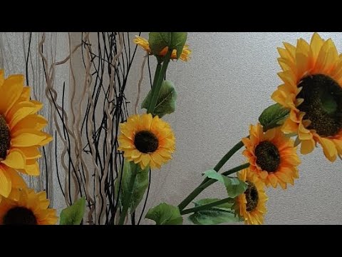 Видео: Виктория Романовна Ленром в прямом эфире.НРАВИТЕСЬ ИЛИ ПОКАЗАЛОСЬ?)