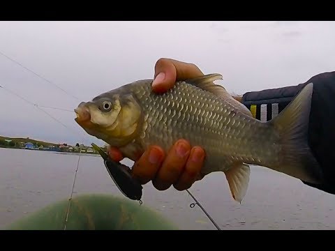 Видео: Ловля карася на кружки и на пенопласт видео