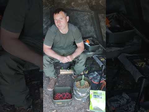 Видео: Биг-фиш на дикаре.#рыбалка в Германии #земля Бранденбург