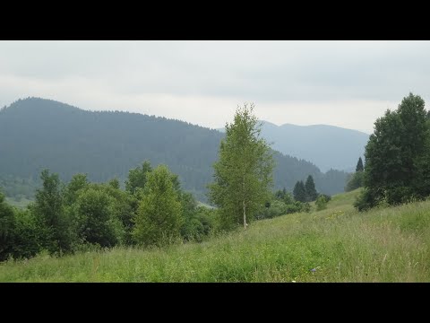 Видео: Трускавец 365. Экскурсии (продолжение)