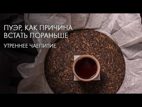 Видео: Приехал Пуэр — Разбираем Коробки | Art of Tea, китайский чай