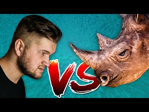 Видео: ДРЕССИРОВЩИК VS НОСОРОГ - [ХОЧУ РАБОТАТЬ]