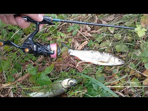 Видео: Копанка переплюйка, і зручності лову на 58 arukazik japan hi-revolution