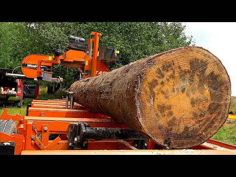 Видео: От гигантских деревьев до кровельных балок — мобильная лесопилка, старый трактор и работа в лесу!