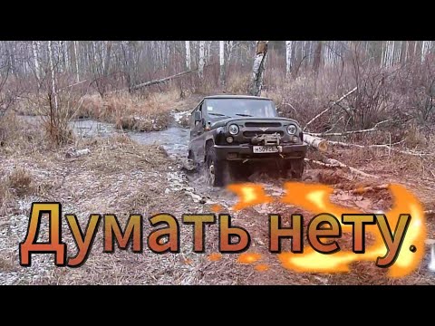 Видео: Голова есть - думать нету...