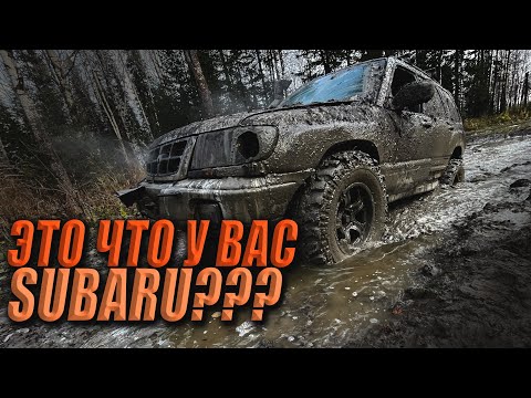 Видео: Едем на Subaru Forester по самым жестким маршрутам ФИНАЛ