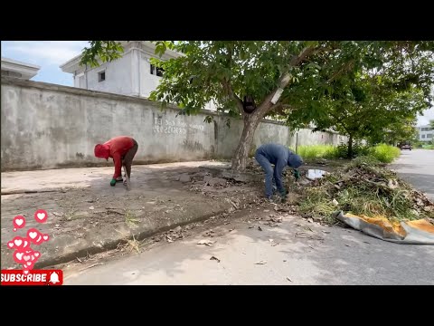 Видео: Уборка заброшенного тротуара в хаотичном переулке — потрясающий городской вид