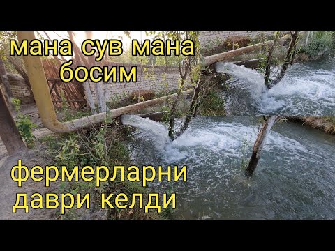 Видео: Енди сув муоммо эмас Мана босим фермерларни даври келди #сув #номаноф #nomanof #насос #uzolamtv