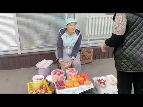 Видео: город Гай сентябрь 2025