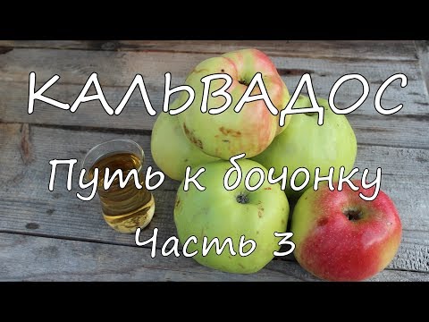 Видео: КАЛЬВАДОС. Путь к бочонку. Часть 3.