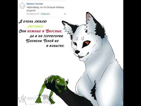 Видео: 7 ноября 2025 г.