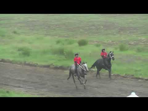 Видео: Аламан