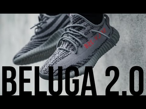 Видео: САМАЯ ДОРОГАЯ расцветка Adidas Yeezy 350V2 / Обзор Adidas Yeezy 350V2 Beluga 2.0  